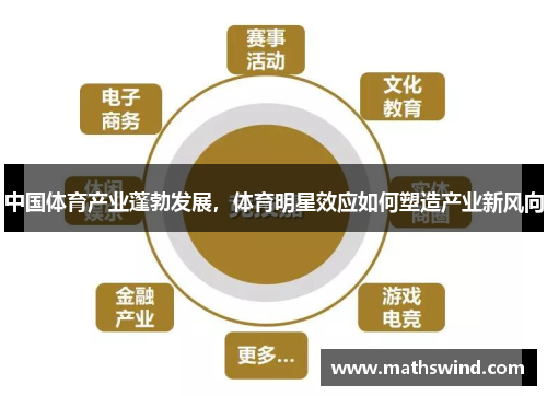 中国体育产业蓬勃发展，体育明星效应如何塑造产业新风向